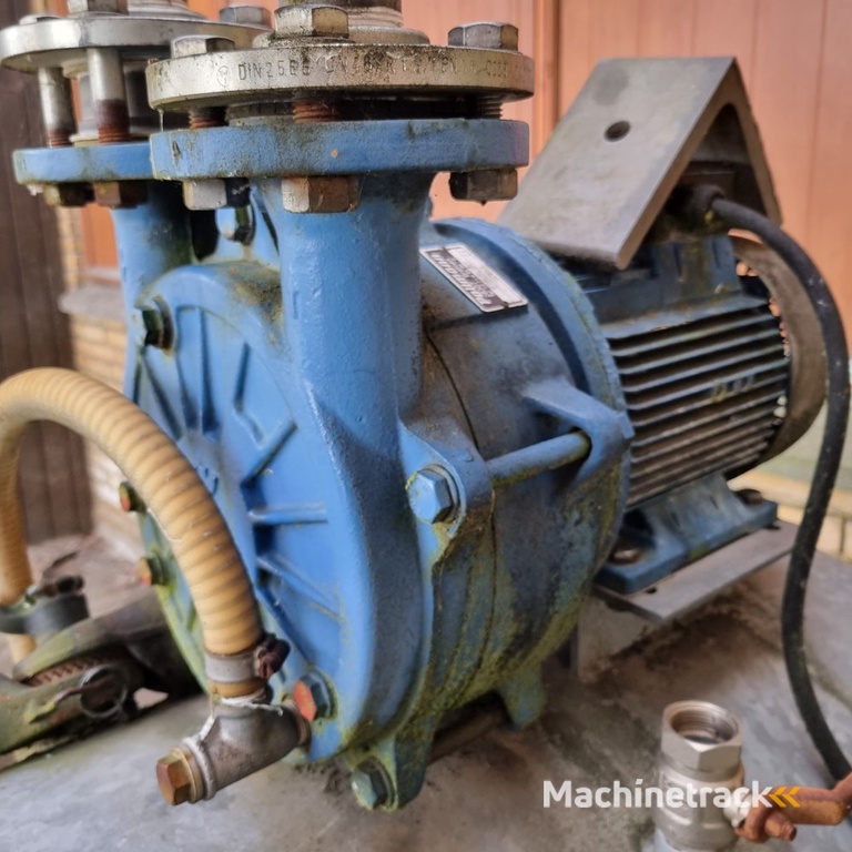 Pollmann Junior 2000