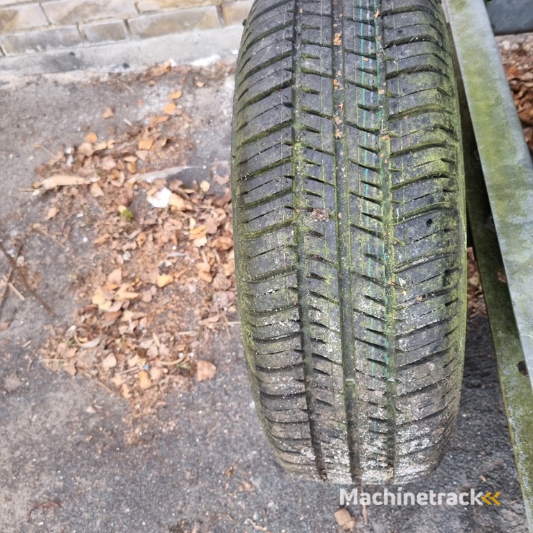 Pollmann Junior 2000