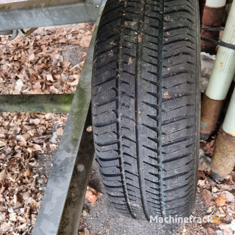 Pollmann Junior 2000