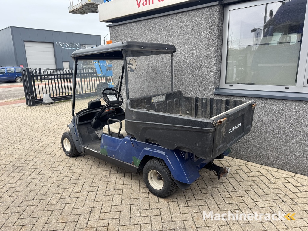 Golfkar Golfcar Elektrisch 2 Zits 2014 Inc Lader