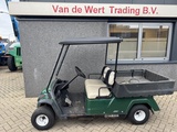 Minituur van Yamaha Golfkar Golfcar Elektrisch 2 Zits 2016 Inc Lader