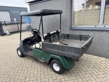 Minituur van Yamaha Golfkar Golfcar Elektrisch 2 Zits 2016 Inc Lader