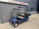 Minituur van Golfkar Golfcar Elektrisch 2 Zits 2014 Inc Lader