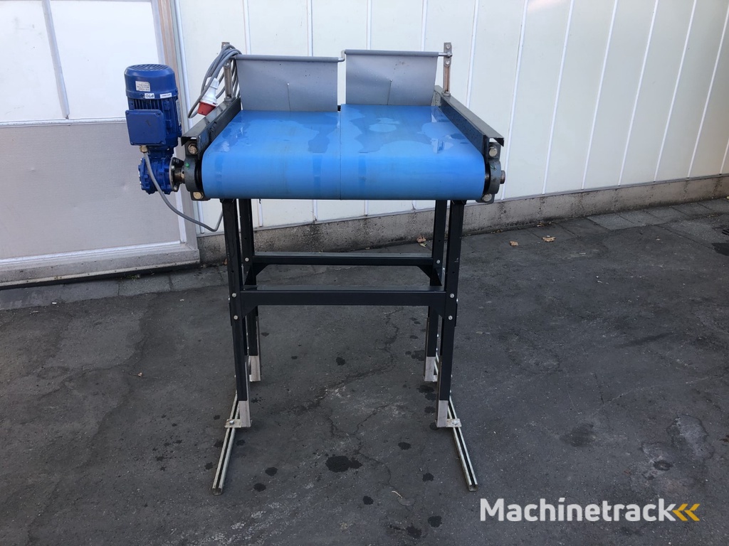 Double lane conveyor, 80 cm wide