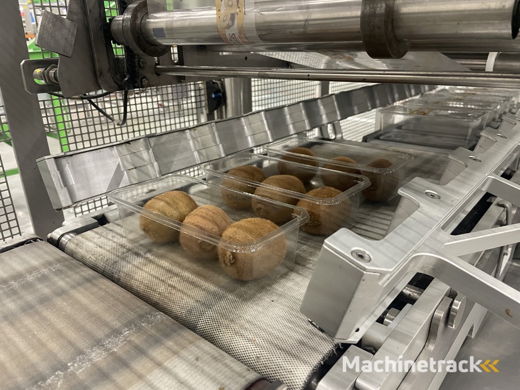 G. Mondini E 350 VG top seal verpakkingsmachine met ontnester