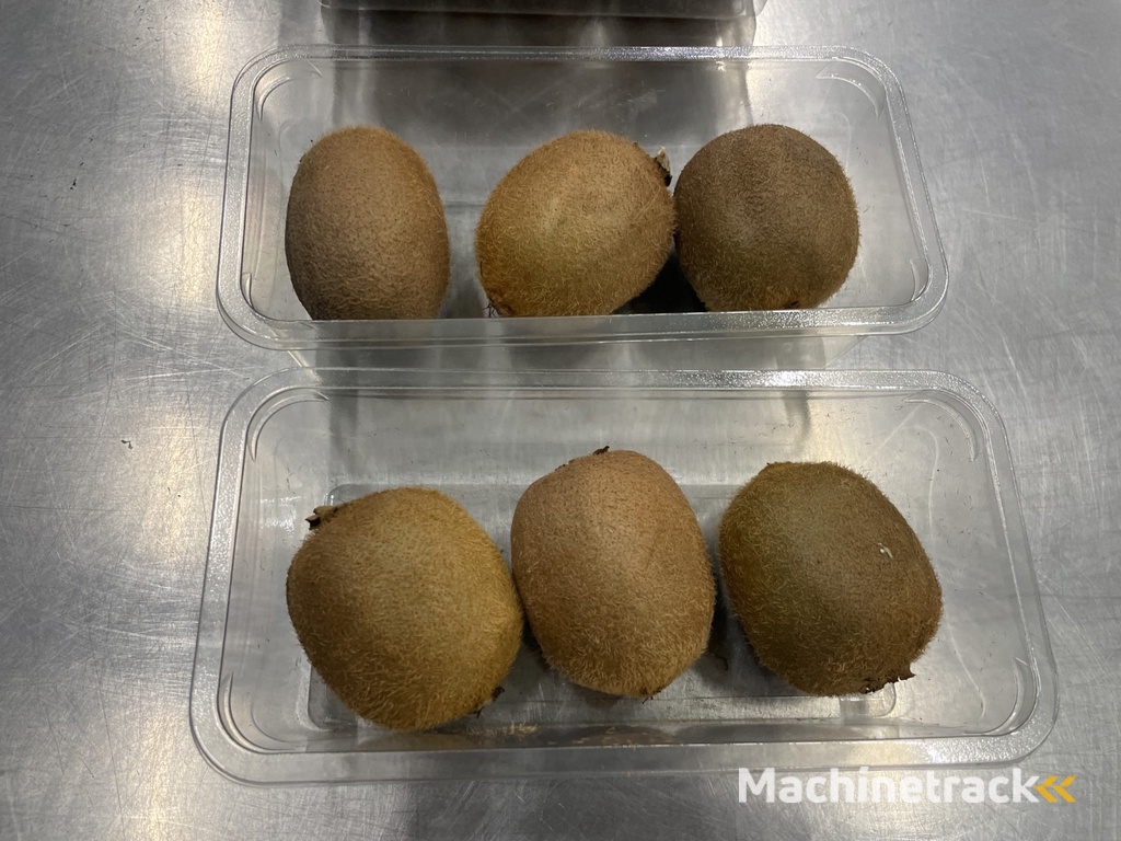 G. Mondini E 350 VG top seal verpakkingsmachine met ontnester