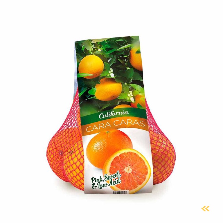 Sorma BRS-134 vertical packaging machine for Girsac, Sormapack and Sormabag