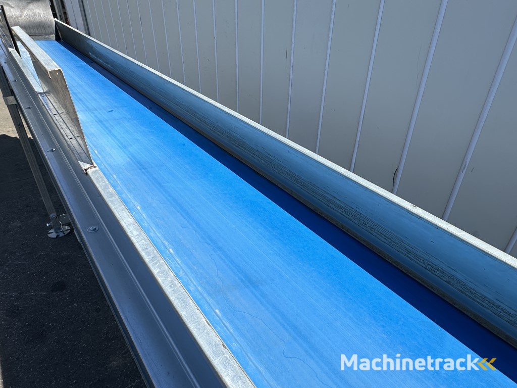 Flauw transportband 560 x 45 cm