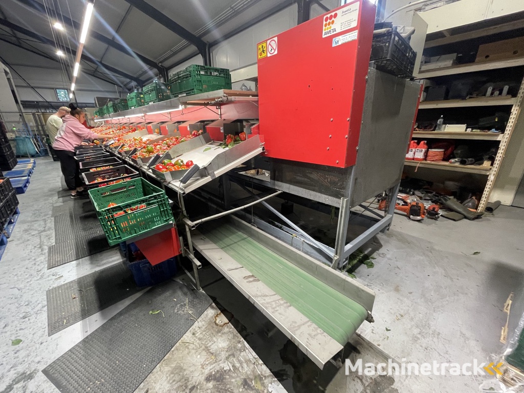 Aweta GMB4-12+1 paprikasorteermachine met opvoerband en weegschalen