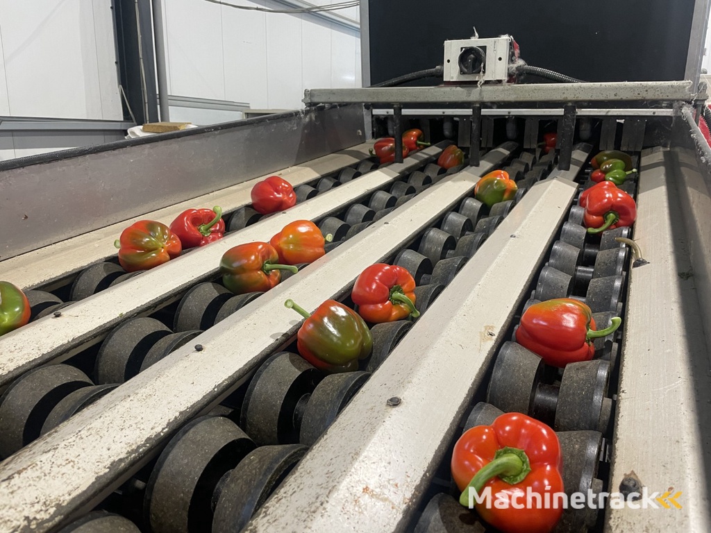 Aweta GMB4-12+1 paprikasorteermachine met opvoerband en weegschalen