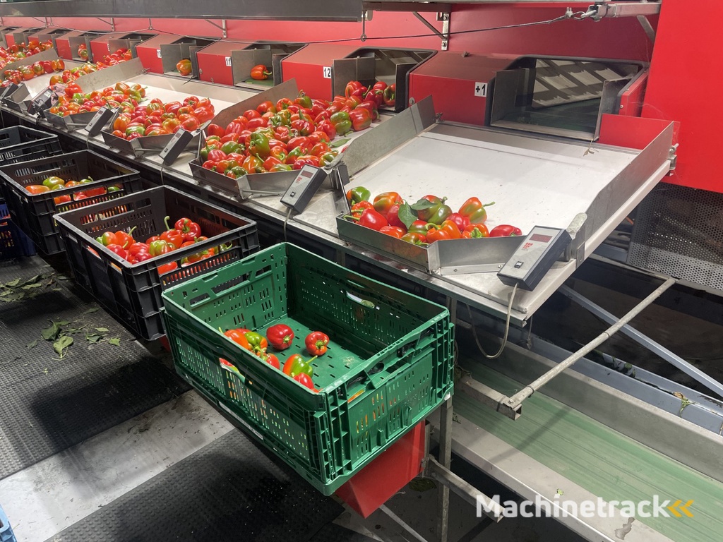 Aweta GMB4-12+1 paprikasorteermachine met opvoerband en weegschalen