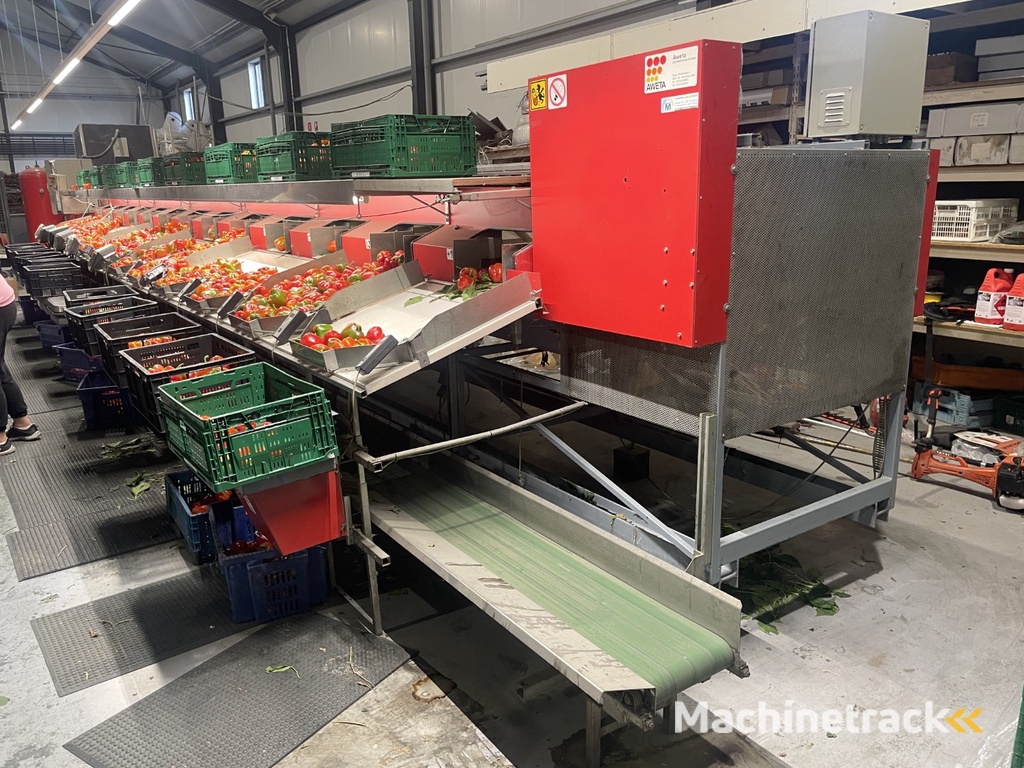 Aweta GMB4-12+1 paprikasorteermachine met opvoerband en weegschalen