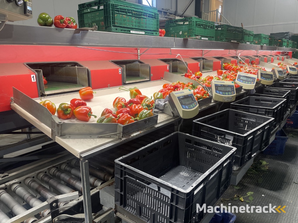 Aweta GMB4-12+1 paprikasorteermachine met opvoerband en weegschalen