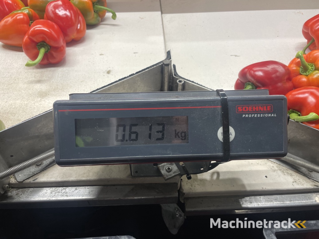 Aweta GMB4-12+1 paprikasorteermachine met opvoerband en weegschalen