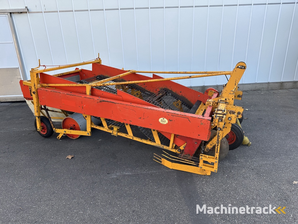 Samon Zwiebelroder 150 cm