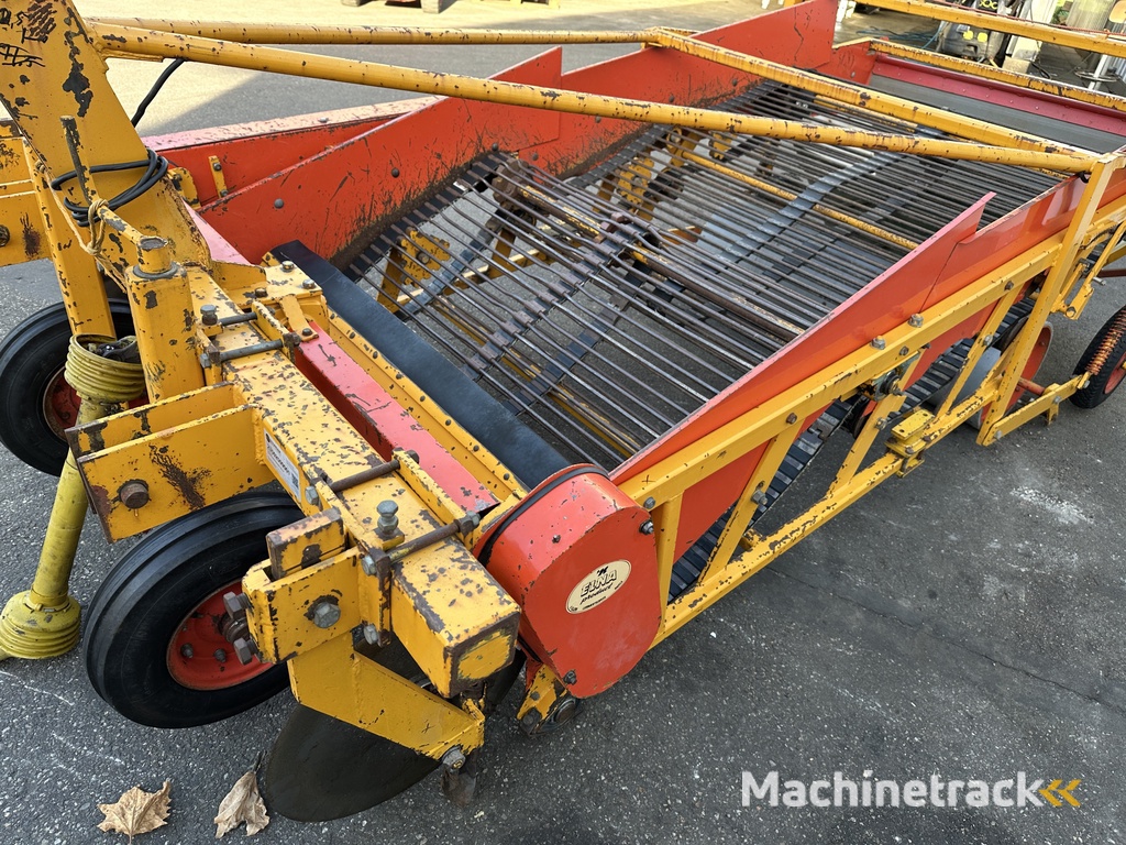 Samon Zwiebelroder 150 cm