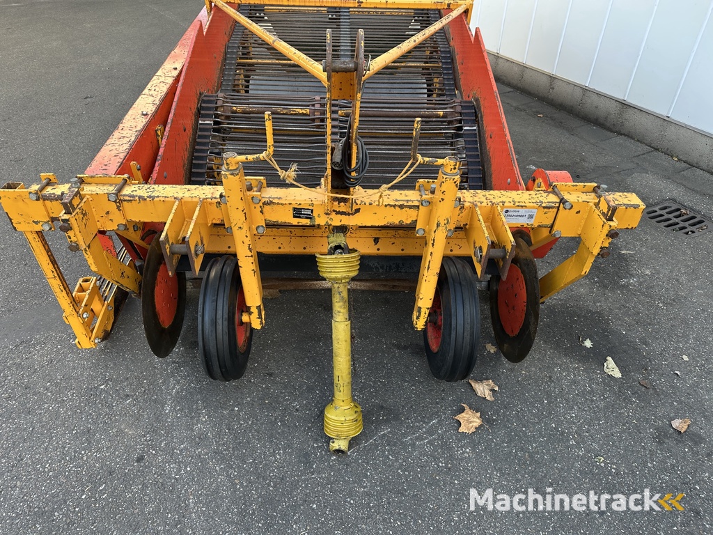 Samon Zwiebelroder 150 cm