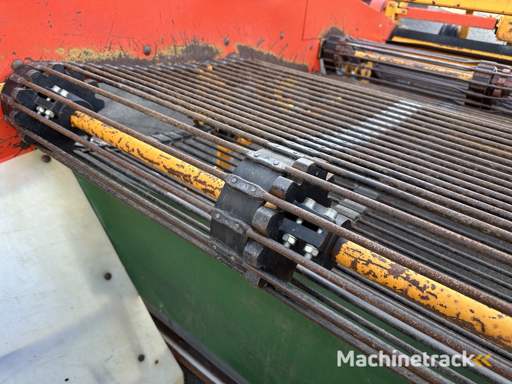 Samon Zwiebelroder 150 cm