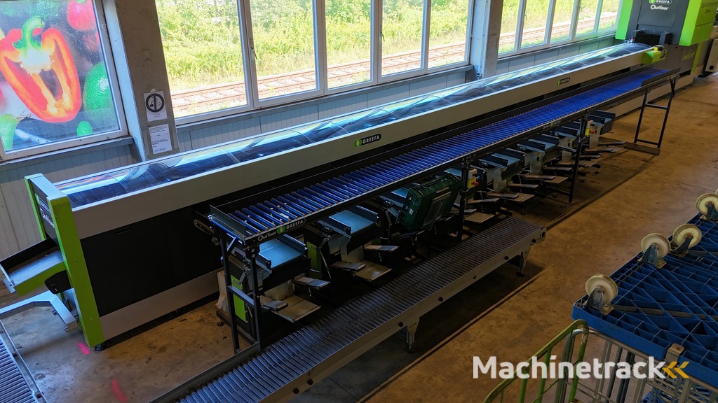 Greefa CombiSort apple & fruit sorting machine 2 line with water dumper, automatic box fillers and palletiser