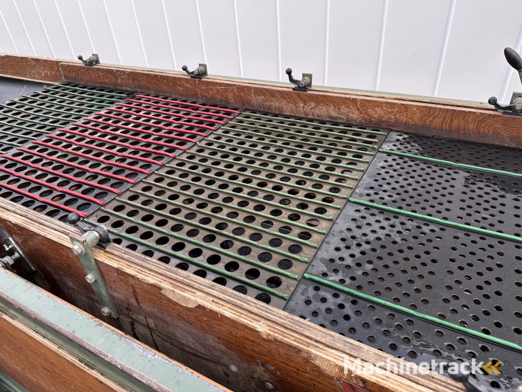 Compas ES 100 VS2 NS2 sorteermachine voor bloembollen en spruiten