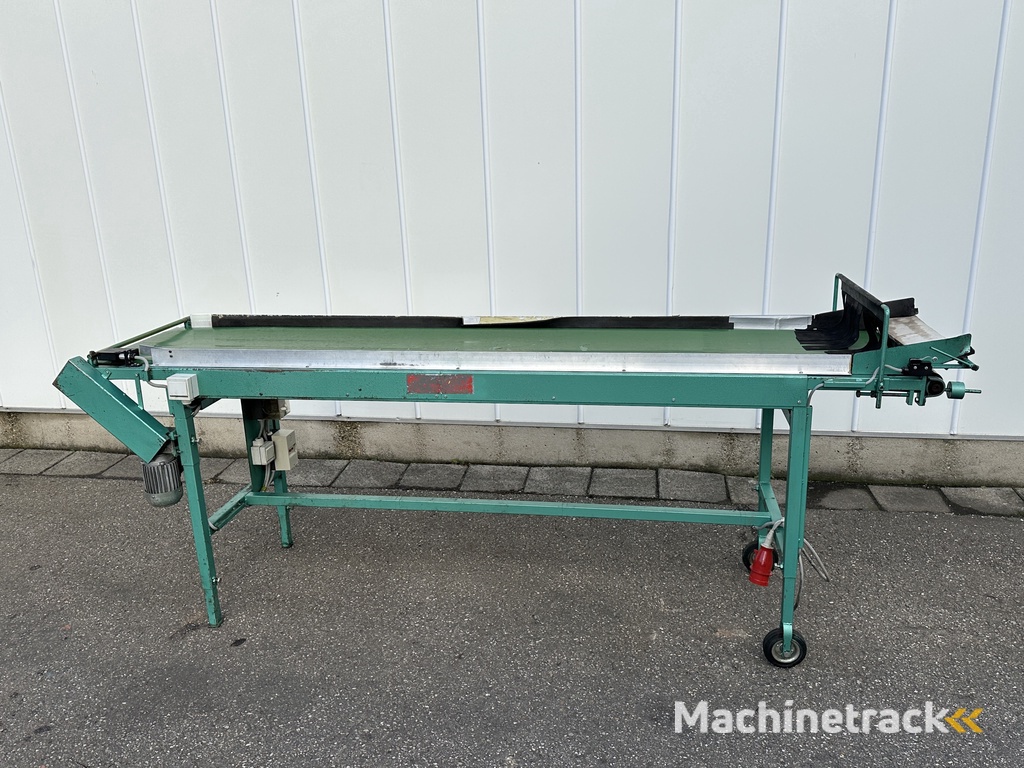 Schoemans transportband voor fruit 250 x 50 cm