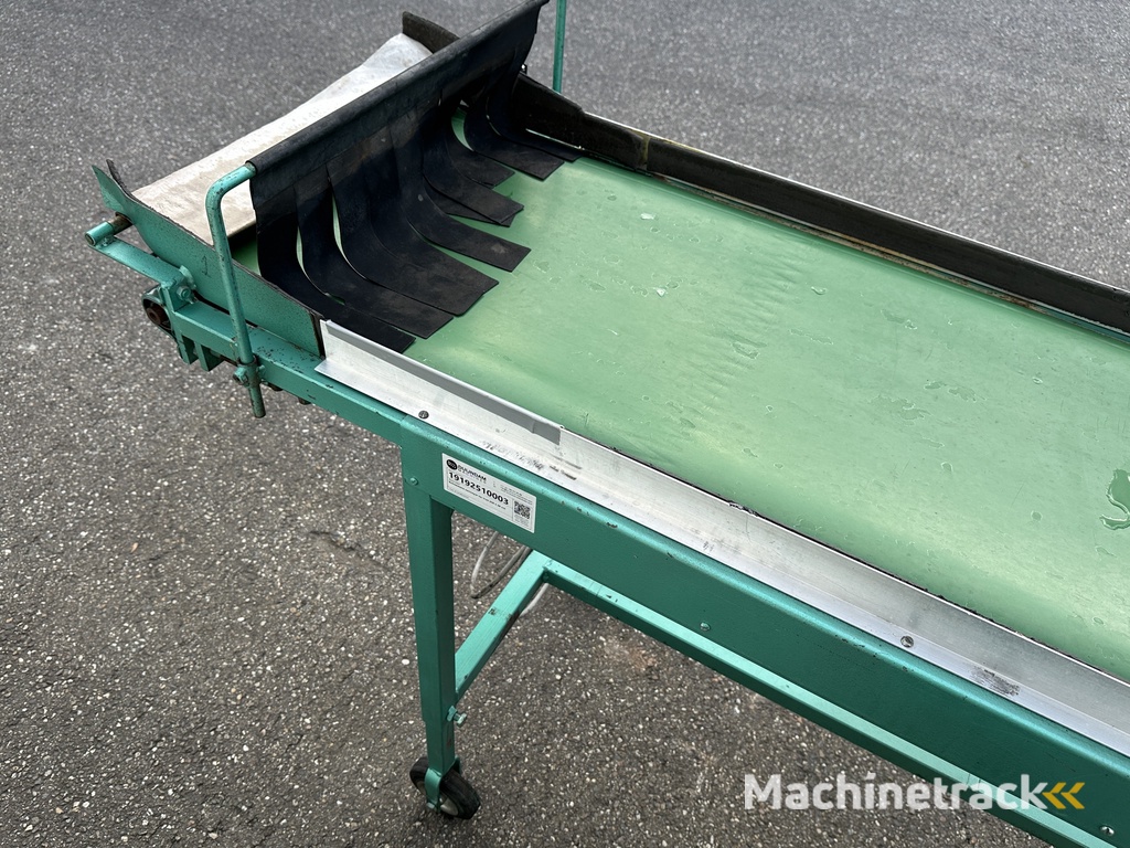 Schoemans transportband voor fruit 250 x 50 cm