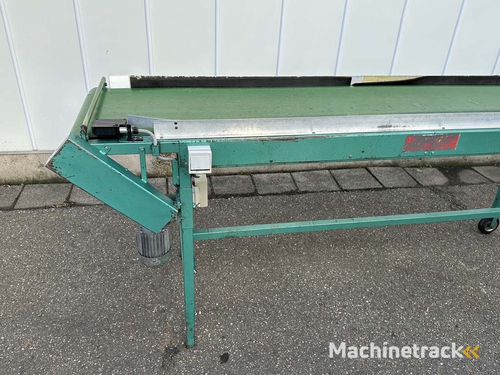 Schoemans transportband voor fruit 250 x 50 cm