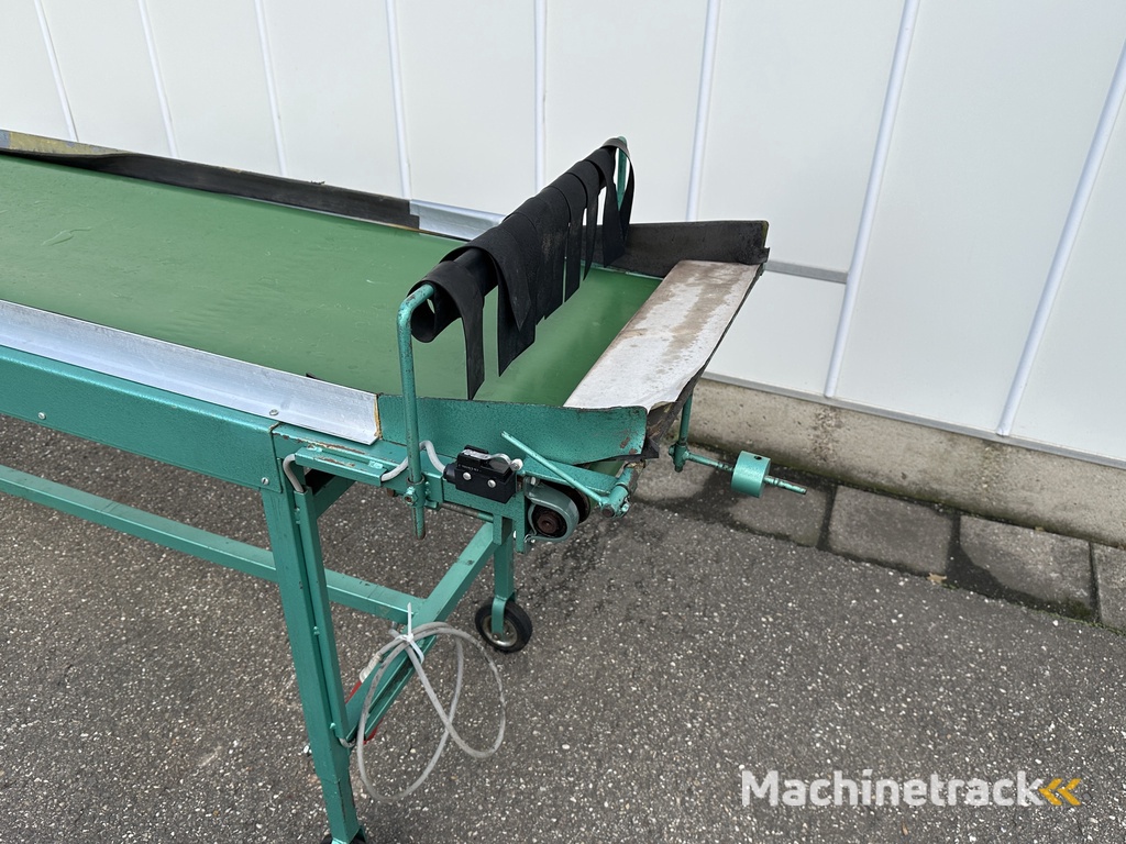 Schoemans transportband voor fruit 250 x 50 cm