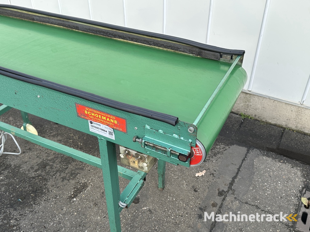 Schoemans transportband voor fruit 170 x 50 cm