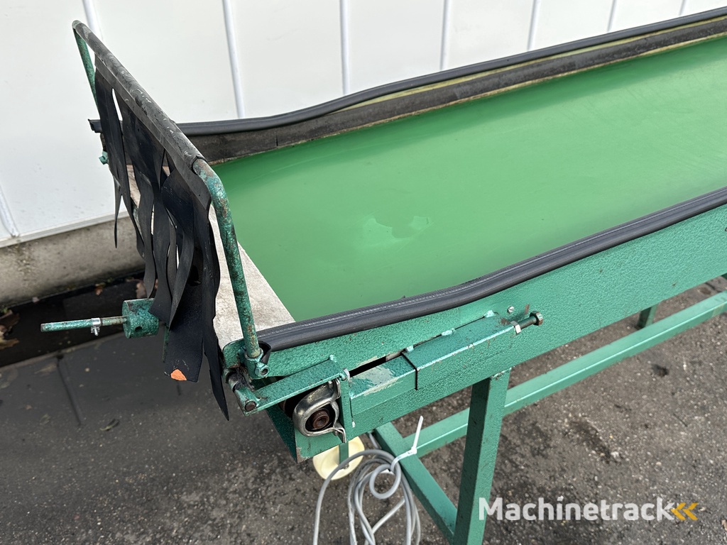 Schoemans transportband voor fruit 170 x 50 cm