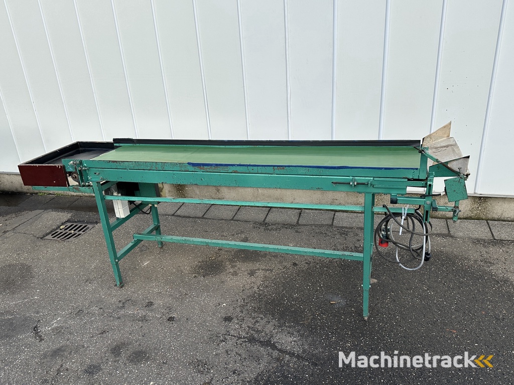 Schoemans transportband voor fruit 210 x 50 cm