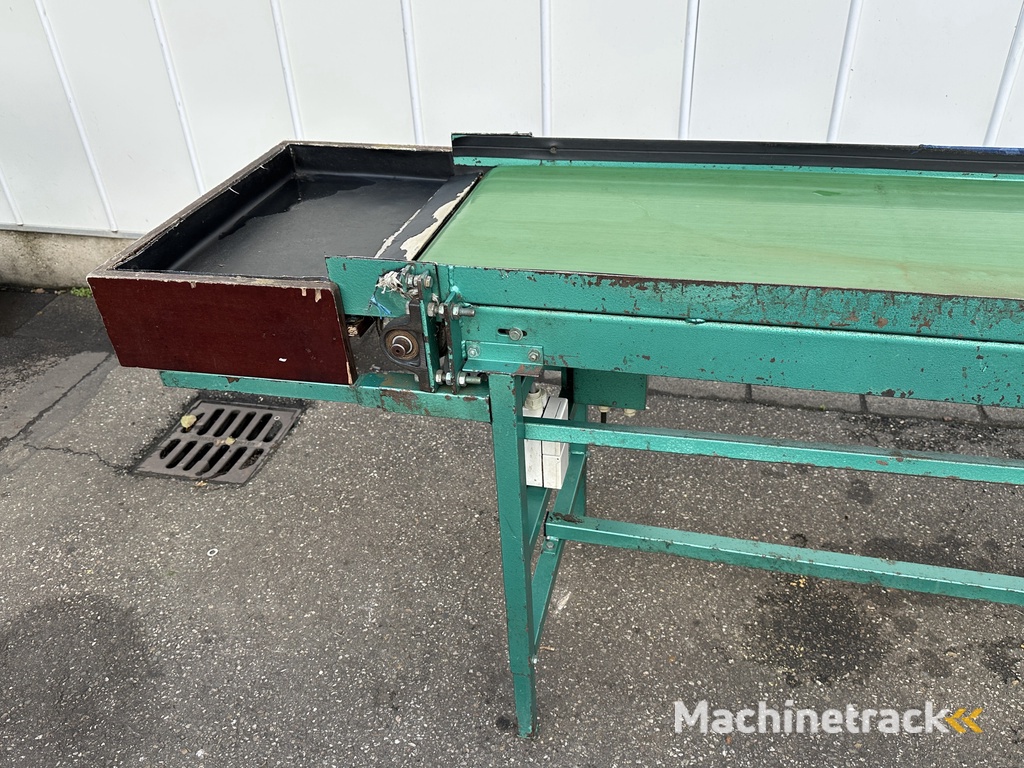 Schoemans transportband voor fruit 210 x 50 cm