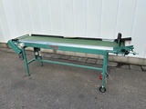 Minituur van Schoemans transportband voor fruit 250 x 50 cm