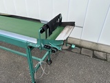 Minituur van Schoemans transportband voor fruit 250 x 50 cm