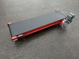 Thumbnail of Taks conveyor 167 x 40 cm