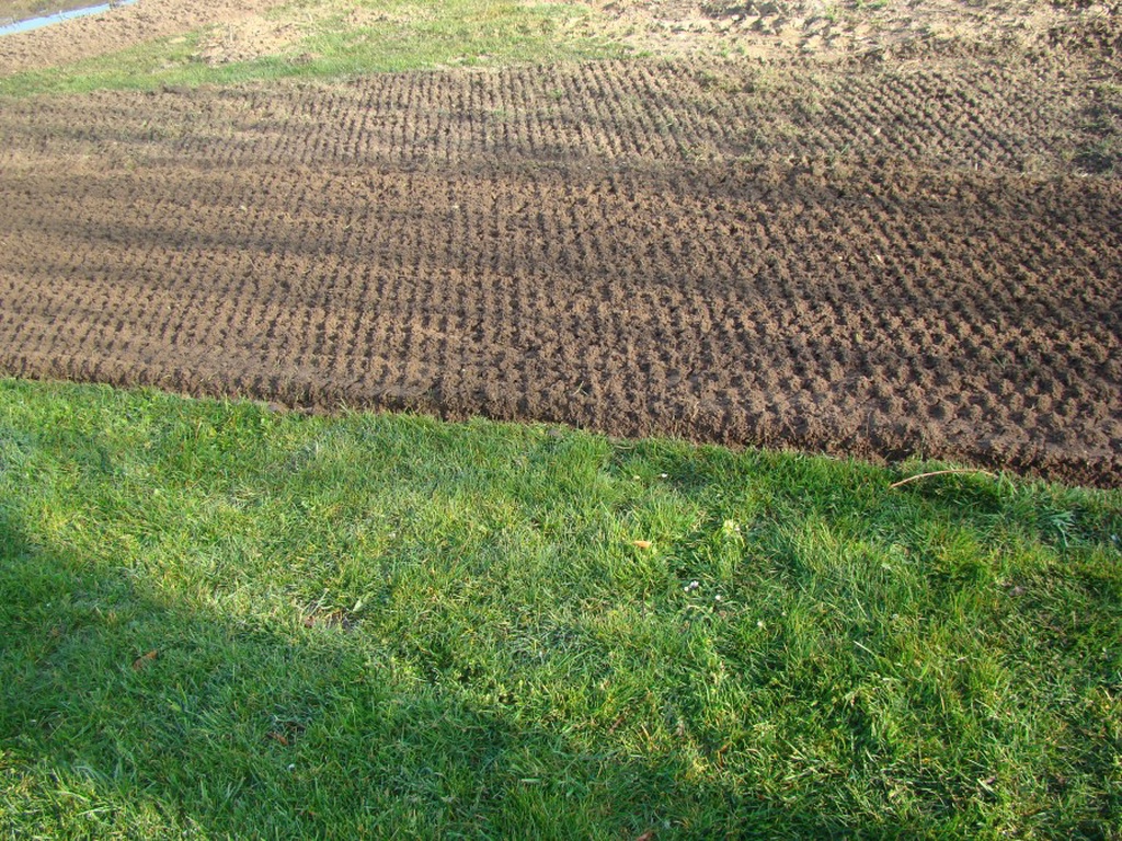 Ortolan  SB -120-140-165-185-205