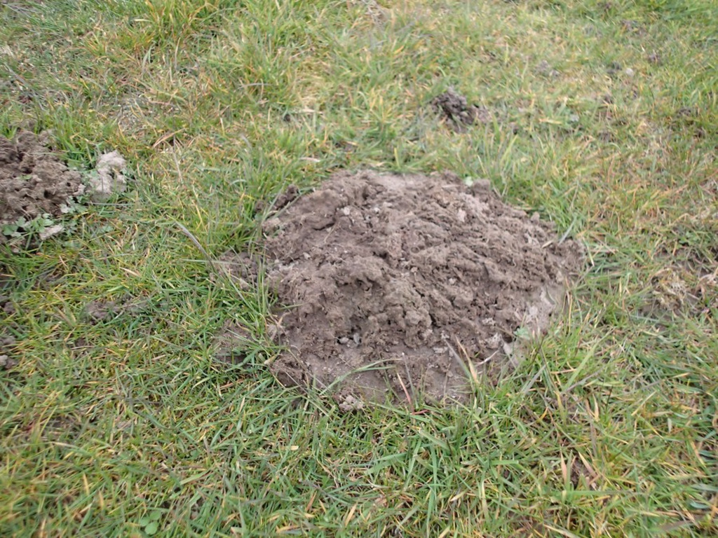 DRA Classic ook weide sleep en beluchter inzetbaar uit voorraad levervaar