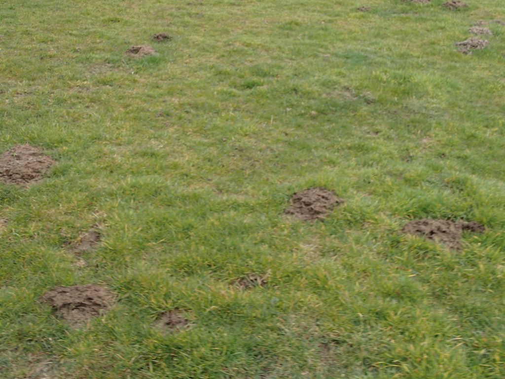 DRA Classic ook weide sleep en beluchter inzetbaar uit voorraad levervaar