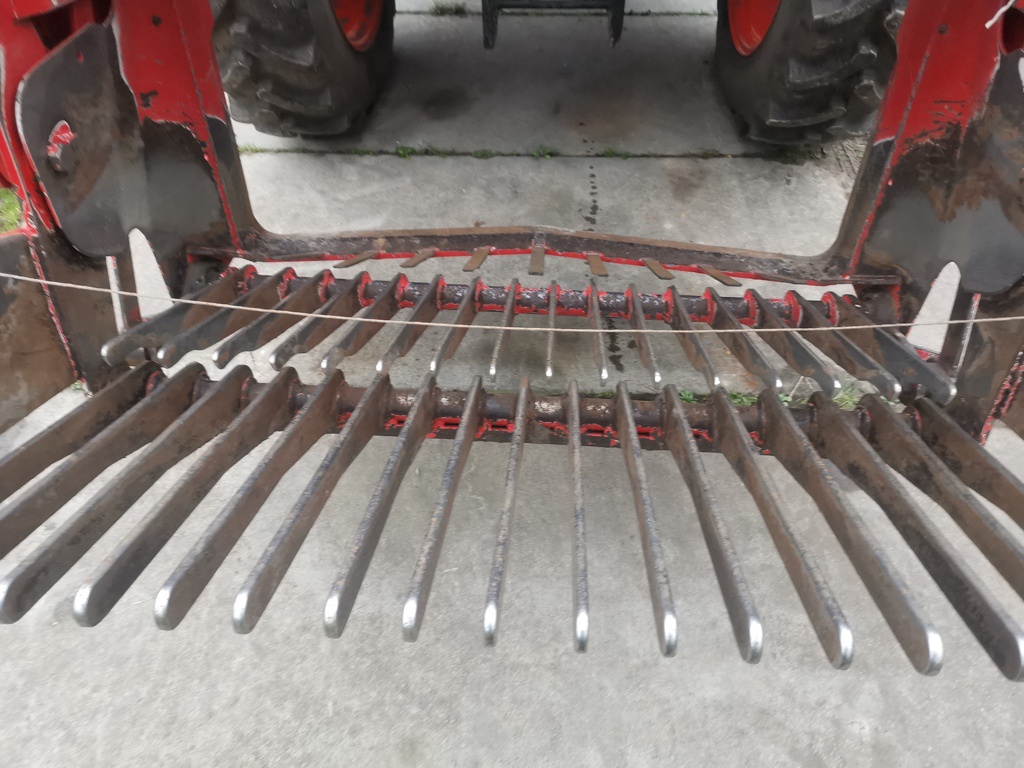 Planten Schudlichter uit voorraad leverbaar