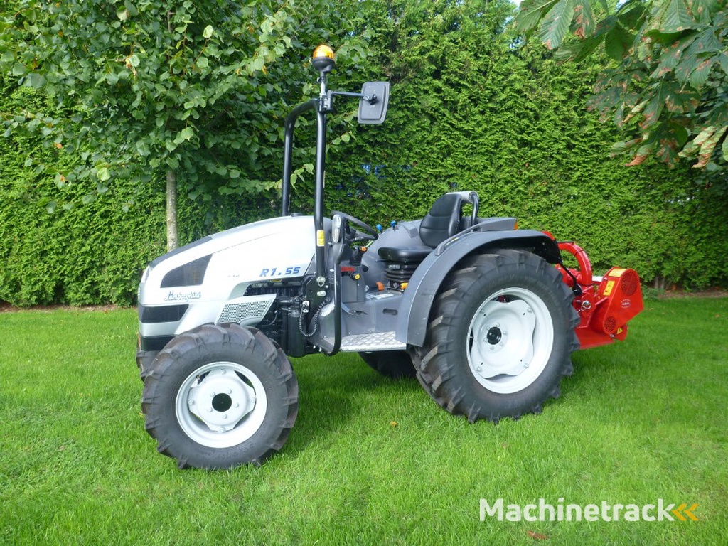 Lamborghini R1.55  Aan A3 garden