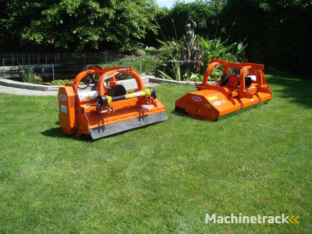 Ortolan  T20 en T30 dubbel aan pik 