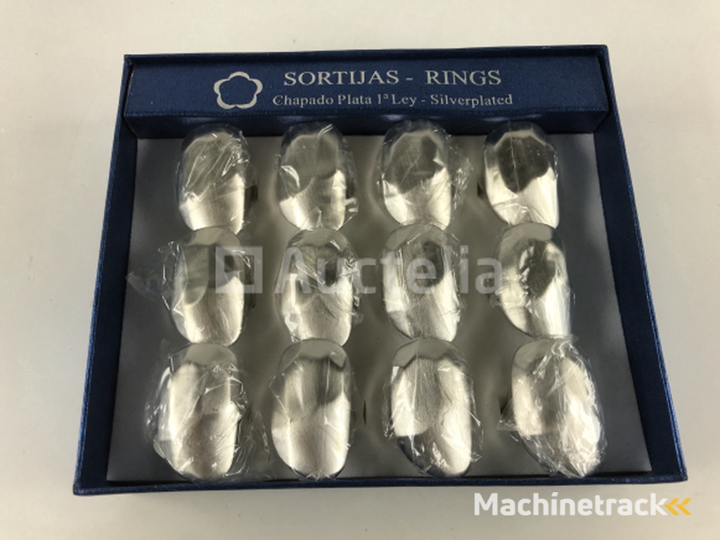 258 Verzilverde Ringen