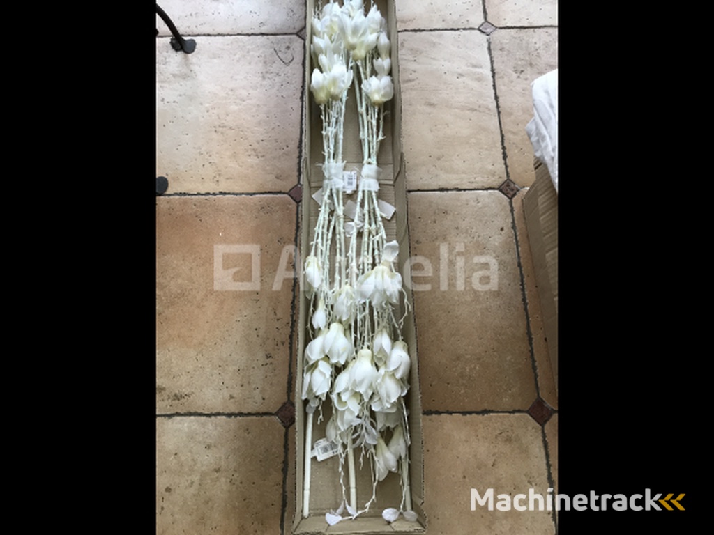 66 Branches Magnolia Flowers