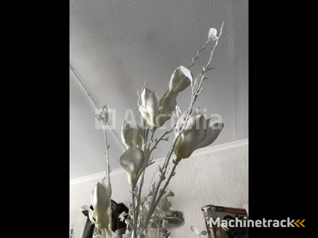 66 Branches Magnolia Flowers