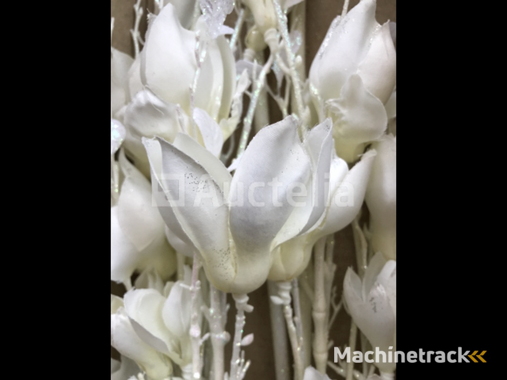 66 Branches Magnolia Flowers