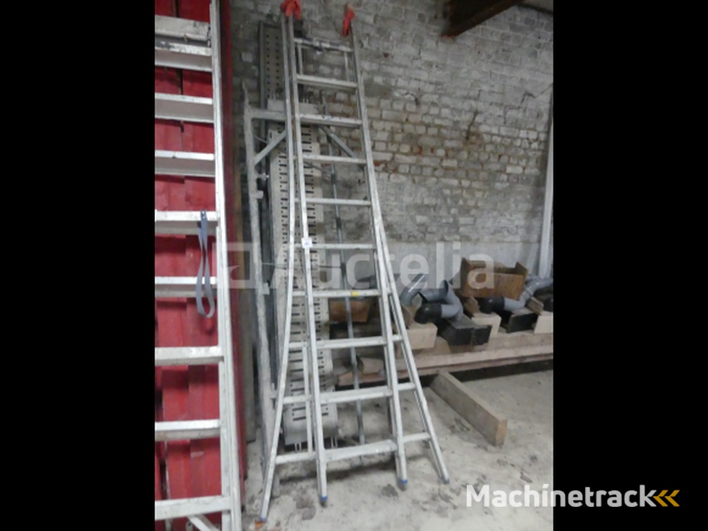 Double Ladder, Step Ladder