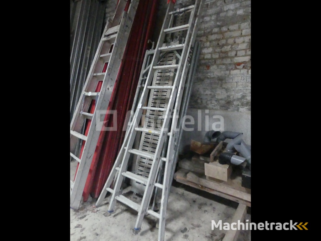 Double Ladder, Step Ladder