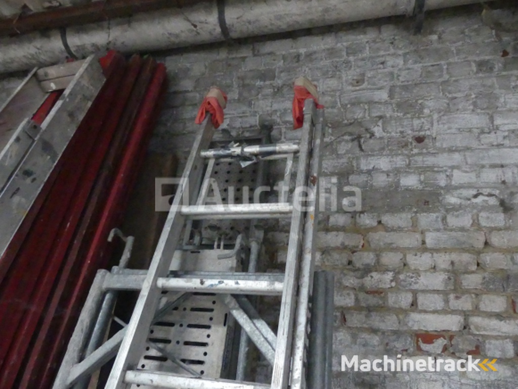 Double Ladder, Step Ladder