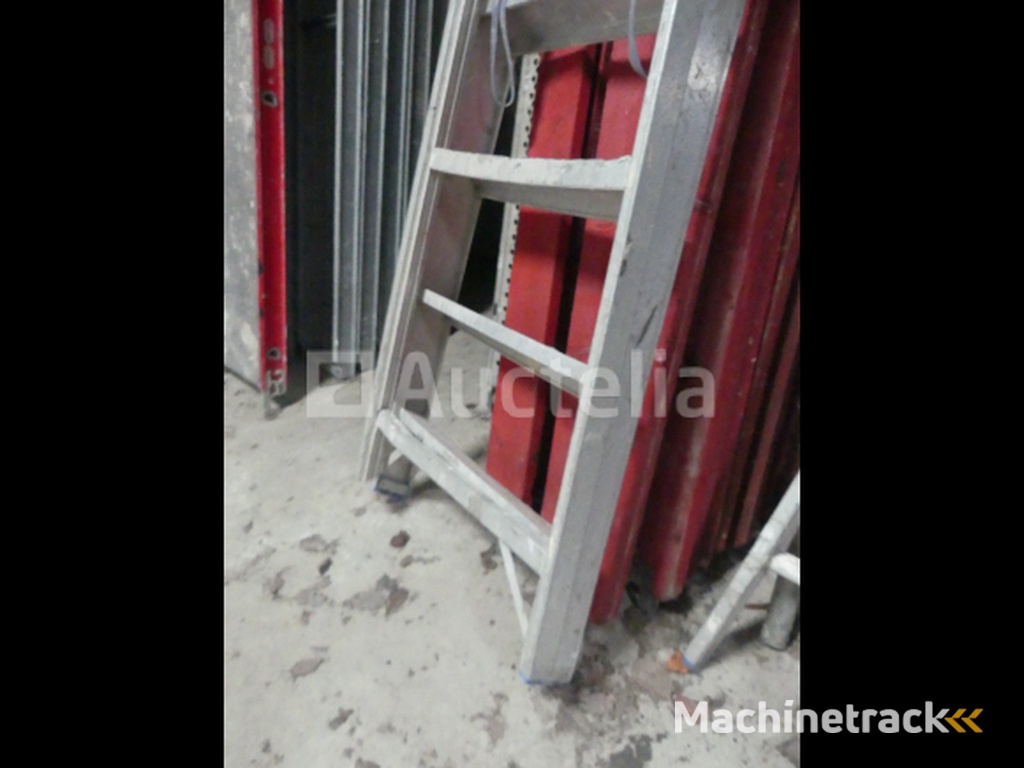 Double Ladder, Step Ladder