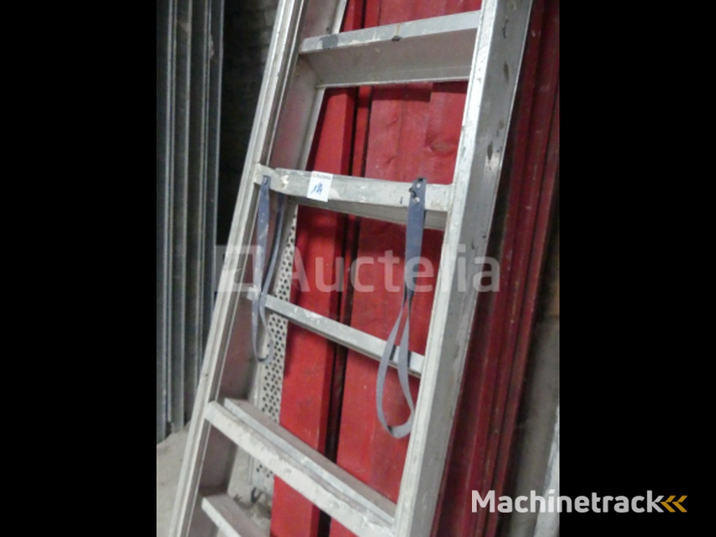 Double Ladder, Step Ladder